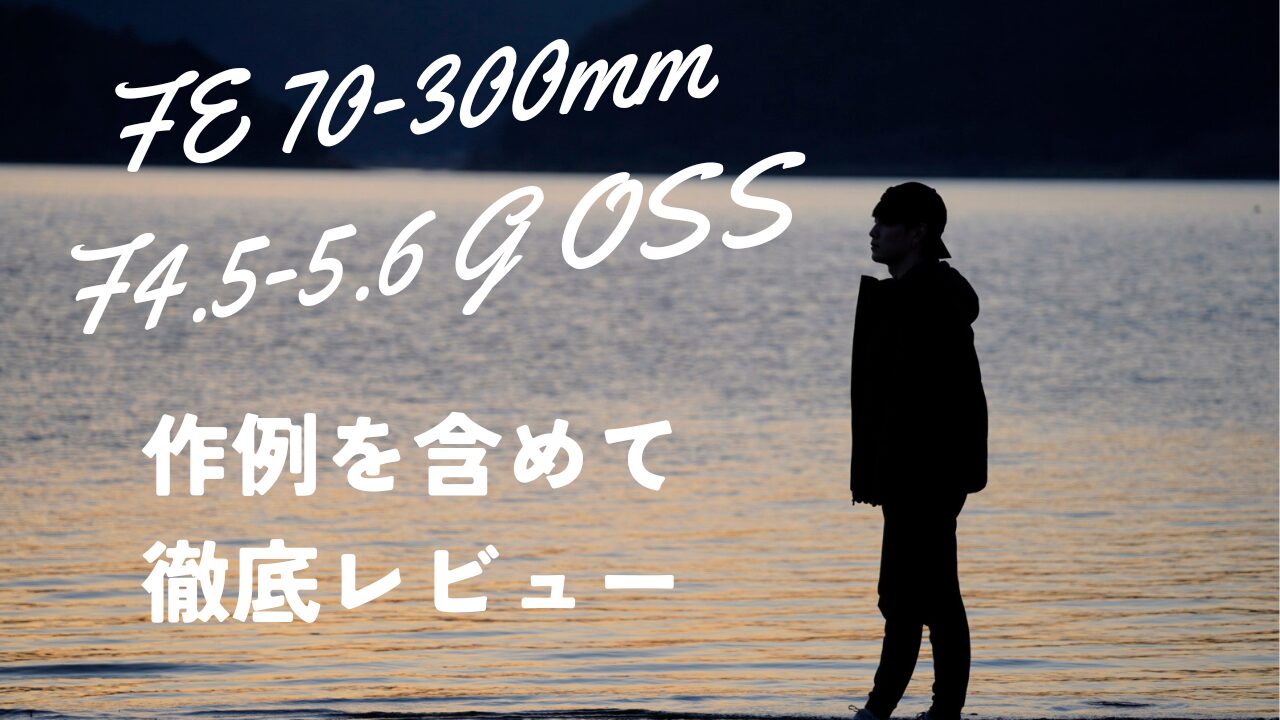 【作例レビュー】FE 70-300mm F4.5-5.6 G OSS｜解像度が高すぎる望遠レンズ